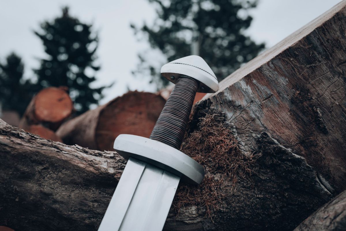 חרב בת אלף שנה נשלפה מנהר הולנדי – כמעט ללא סימני חלודה