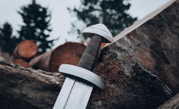 חרב בת אלף שנה נשלפה מנהר הולנדי – כמעט ללא סימני חלודה