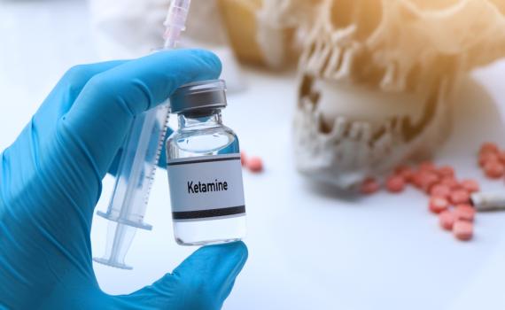 סוכל ניסיון הברחת סמים: 8 ק"ג קטמין נתפסו באריזות מצע חתולים