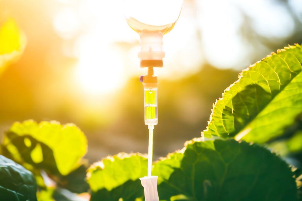 האיש שרצה לרפא סרטן בדרך אחרת: סיפורו של ד"ר רייף