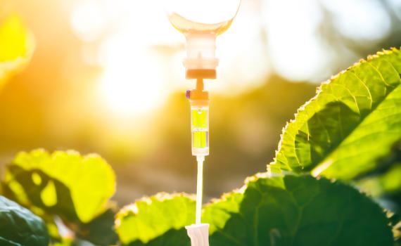 האיש שרצה לרפא סרטן בדרך אחרת: סיפורו של ד"ר רייף