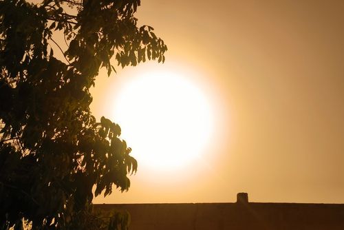 גל חום קיצוני בדרך לישראל: הטמפרטורות יגיעו ל-50 מעלות