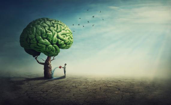 הוויכוח נגמר: מדענים מוכיחים יצירת תאי מוח חדשים בזקנתנו