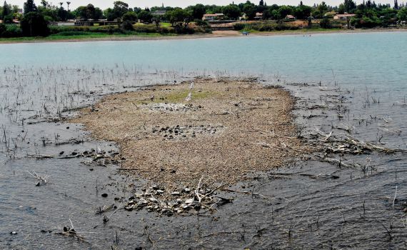 עצוב: מפלס הכנרת מתקרב לקו האדום והאי נגלה מחדש