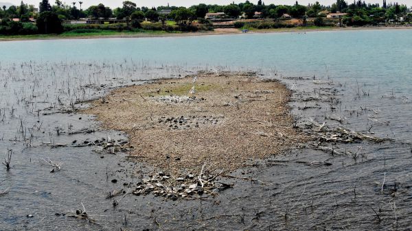 עצוב: מפלס הכנרת מתקרב לקו האדום והאי נגלה מחדש