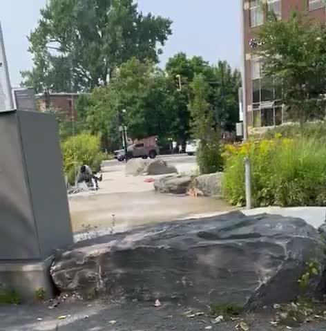 תקרית אנטישמית בקנדה: יהודי הוכה לעיניי בתו