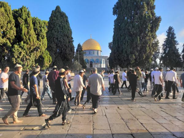 ממשיכים לטפס: שיא כל הזמנים בעליית יהודים להר הבית