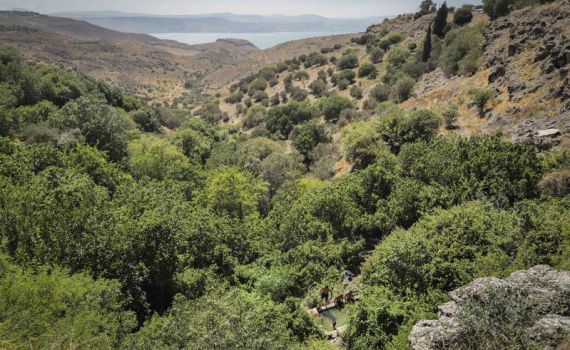 מחזה מדאיג בצפון: "מתקרבים להכרזה על מצב חירום"