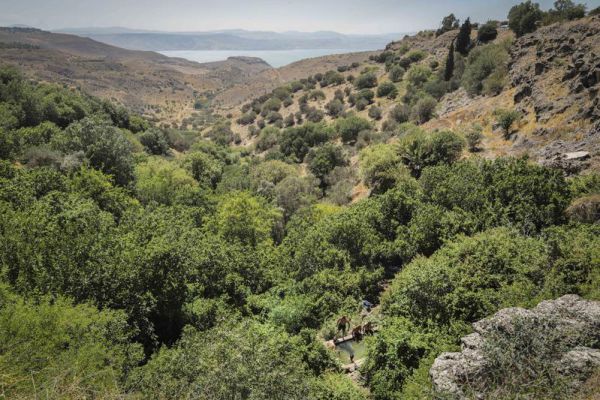 מחזה מדאיג בצפון: "מתקרבים להכרזה על מצב חירום"