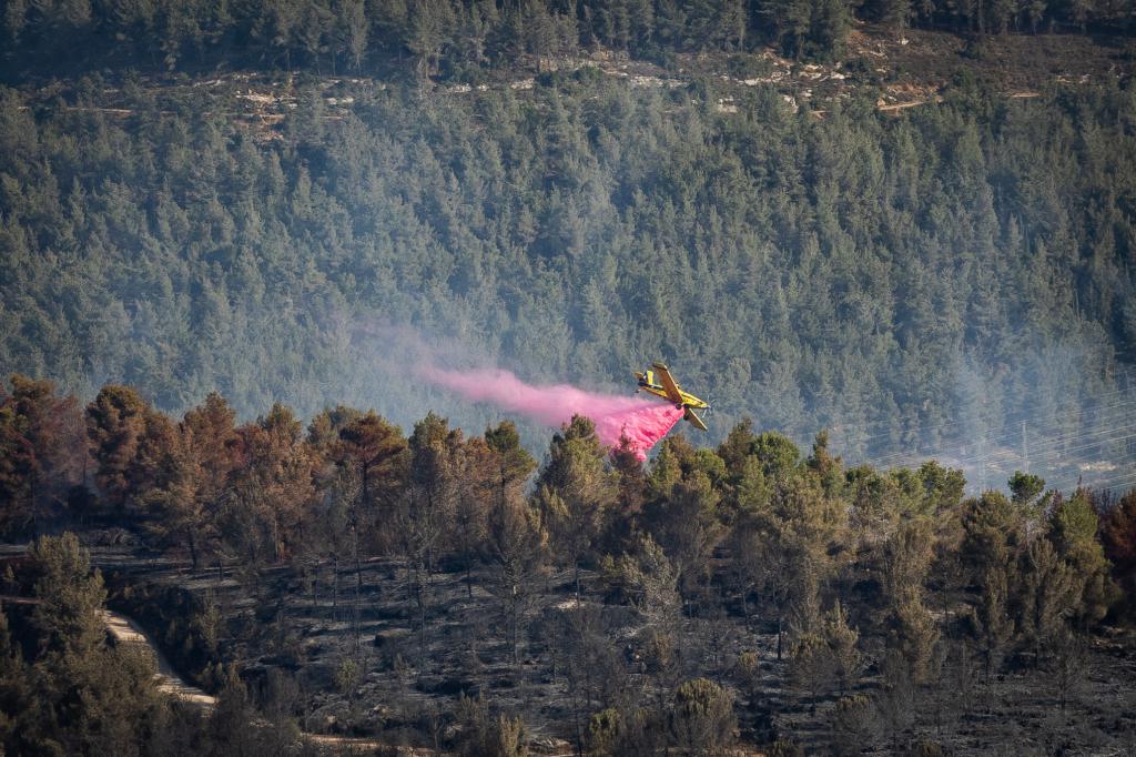 הושגה שליטה על השריפה שפרצה ביער בית קשת בצפון