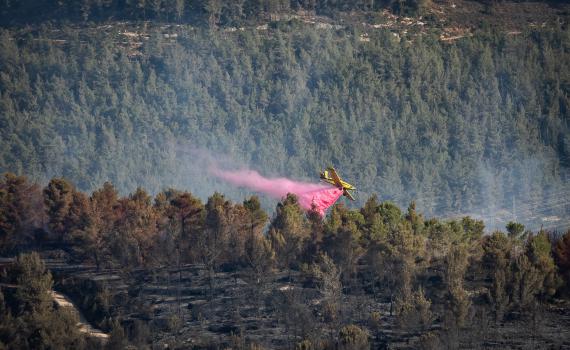הושגה שליטה על השריפה שפרצה ביער בית קשת בצפון