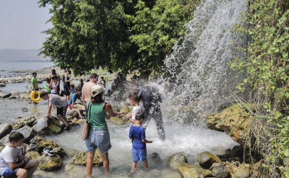 בשיא הקיץ: בגלל מחלת הפה והטלפיים – אלה המקומות שייסגרו