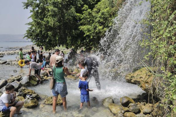 בשיא הקיץ: בגלל מחלת הפה והטלפיים – אלה המקומות שייסגרו