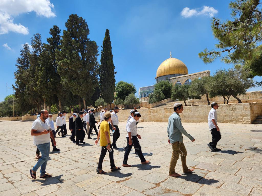 דרמה בארגוני העלייה להר הבית