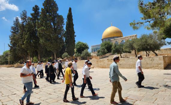 דרמה בארגוני העלייה להר הבית