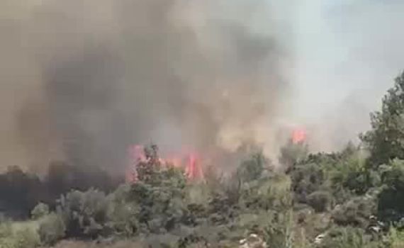 שריפה נרחבת פרצה ליד מבשרת: נערכים לסגירת כביש 1
