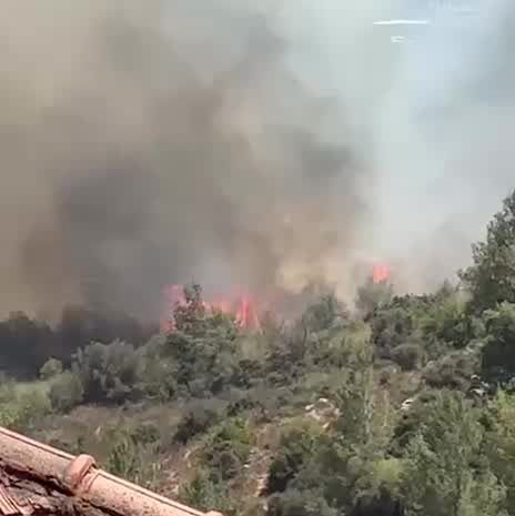 שריפה נרחבת פרצה ליד מבשרת: נערכים לסגירת כביש 1