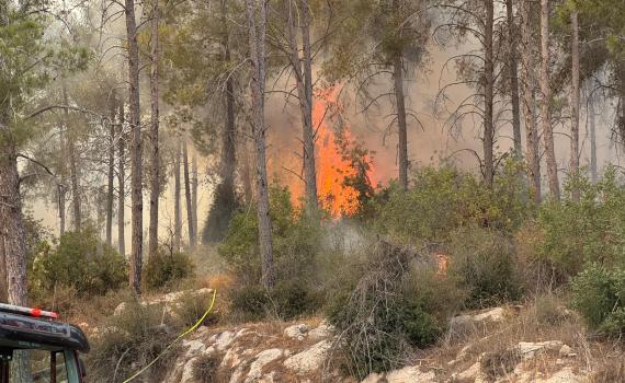 שריפה נרחבת בהרי ירושלים: כביש 44 נחסם לתנועה