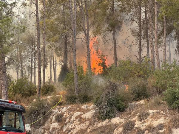 שריפה נרחבת בהרי ירושלים: כביש 44 נחסם לתנועה