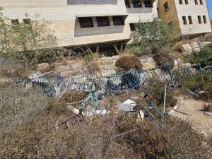 בבית ספר: עץ קרס על שתי ילדות בנות 10