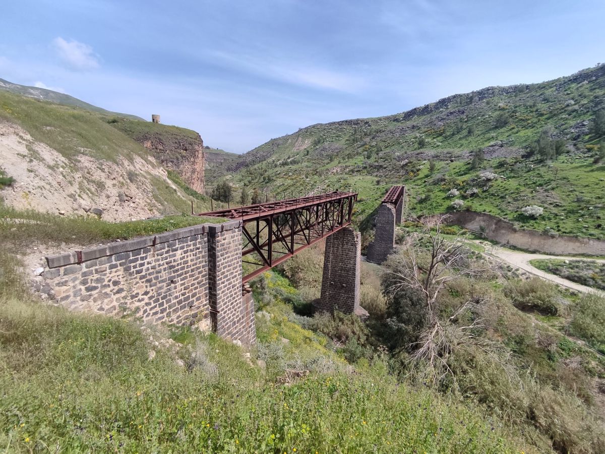 הצפון מחכה לכם: כל החוויות שלא תרצו לפספס בסוכות
