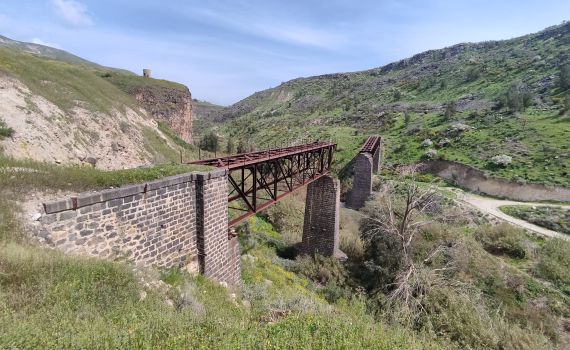 המדריך המלא לסוכות 2025: כל האטרקציות מצפון ועד אילת