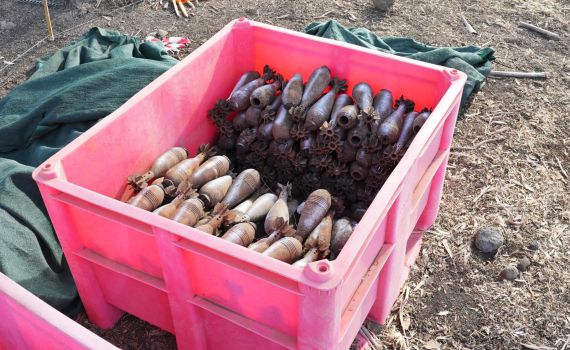 אחרי עשרות שנים: המוצב הסורי ייפתח לציבור בסוכות