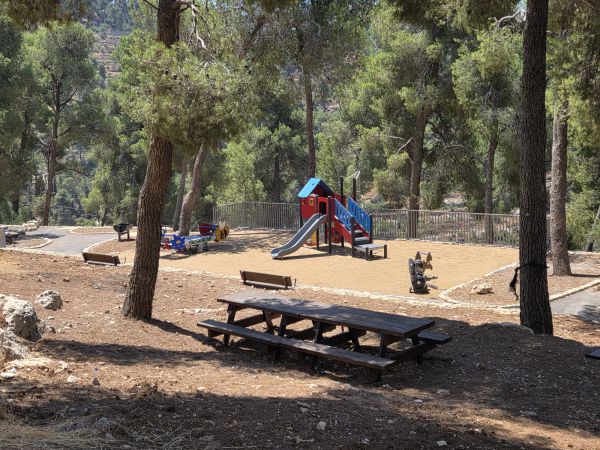 ירושלים נצבעת בירוק: חנוכת יער הר נוף המחודש יוצאת לדרך