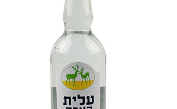 אחת ולתמיד: ערק או ארק? האקדמיה ללשון שמה סוף לוויכוח