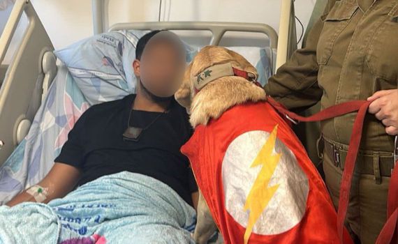 כלבים בצו 8: הפרויקט שכבש את הנשיא