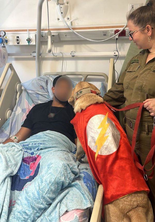 כלבים בצו 8: הפרויקט שכבש את הנשיא