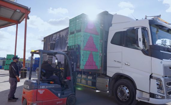 משפחה ממוצעת צפויה לזרוק מזון בשווי של כ-600 ₪ בחגי תשרי