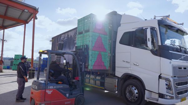 משפחה ממוצעת צפויה לזרוק מזון בשווי של כ-600 ₪ בחגי תשרי