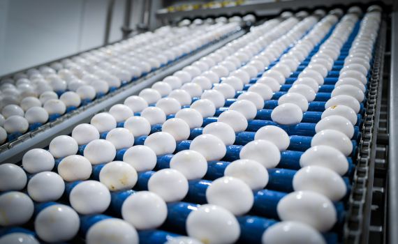 יוקר המחייה: בשבוע הבא יתייקרו מחירי הביצים