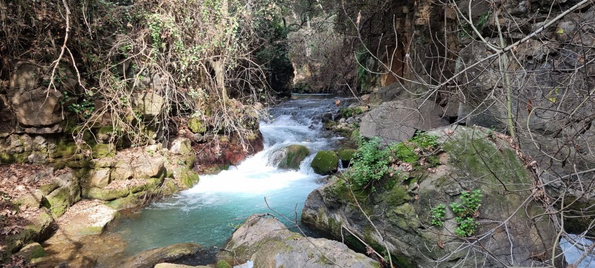 גילינו את מסלולי המים הכי יפים בארץ – בדיוק לחג הסוכות