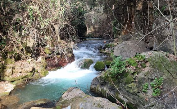גילינו את מסלולי המים הכי יפים בארץ – בדיוק לחג הסוכות