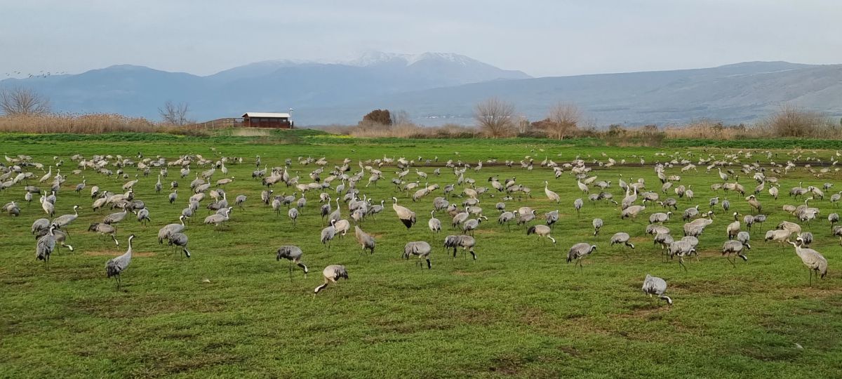 טיול פורח אל יסוד המעלה: פנינות היסטוריה וטבע