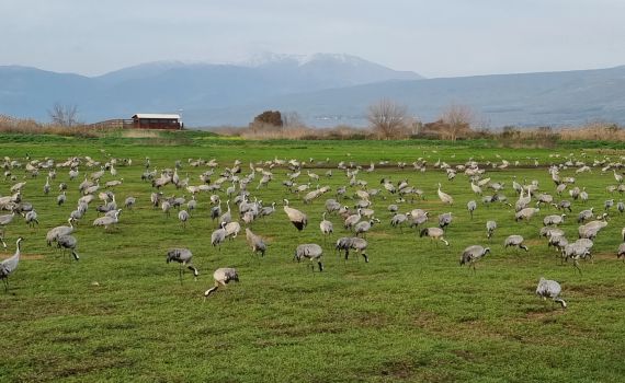 טיול פורח אל יסוד המעלה: פנינות היסטוריה וטבע