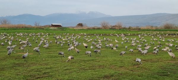 טיול פורח אל יסוד המעלה: פנינות היסטוריה וטבע