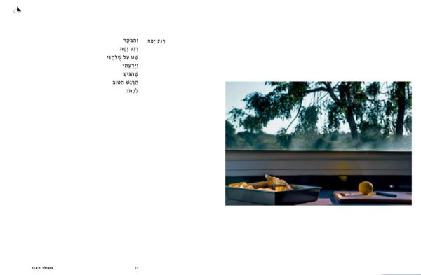 "לא יכולתי לכתוב אז. השירה חזרה עם השתיקה" | בשולי האור