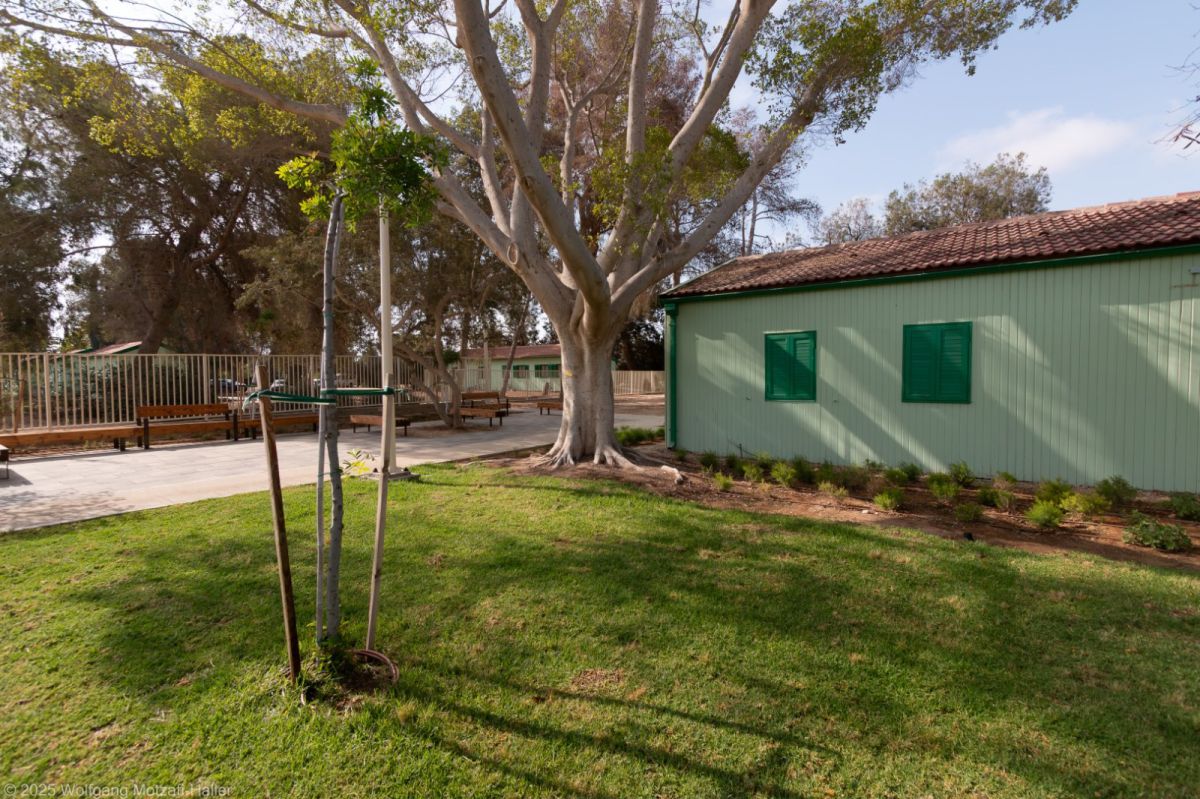 מסע בזמן: שכונתו של בן גוריון מתעוררת לחיים אחרי 50 שנה