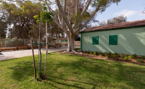 מסע בזמן: שכונתו של בן גוריון מתעוררת לחיים אחרי 50 שנה