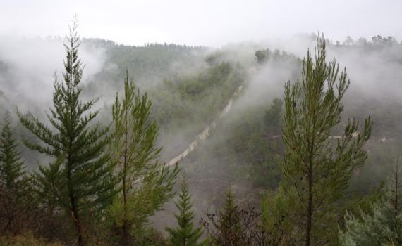 השירות המטאורולוגי: זו הסיבה למה שתרגישו בימים הקרובים