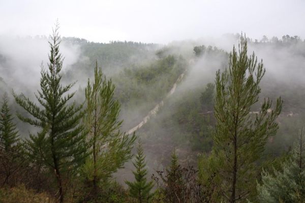 השירות המטאורולוגי: זו הסיבה למה שתרגישו בימים הקרובים