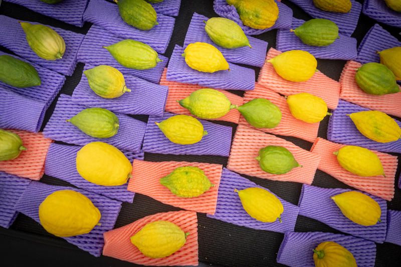 סערת האתרוגים בצה"ל