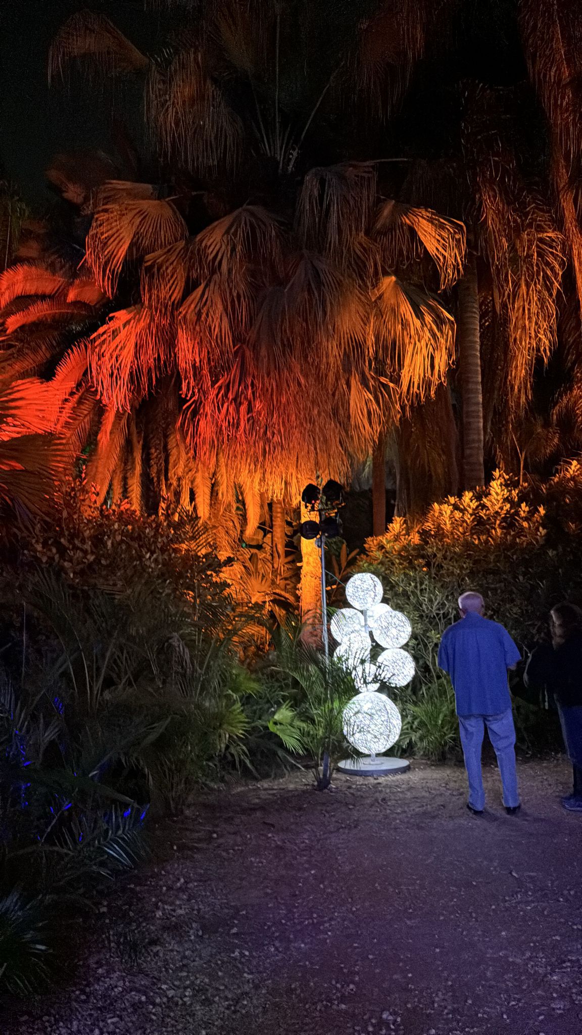 פסטיבל האור הבינלאומי