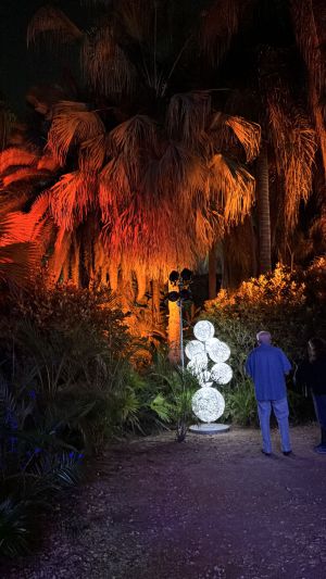 פסטיבל האור הבינלאומי