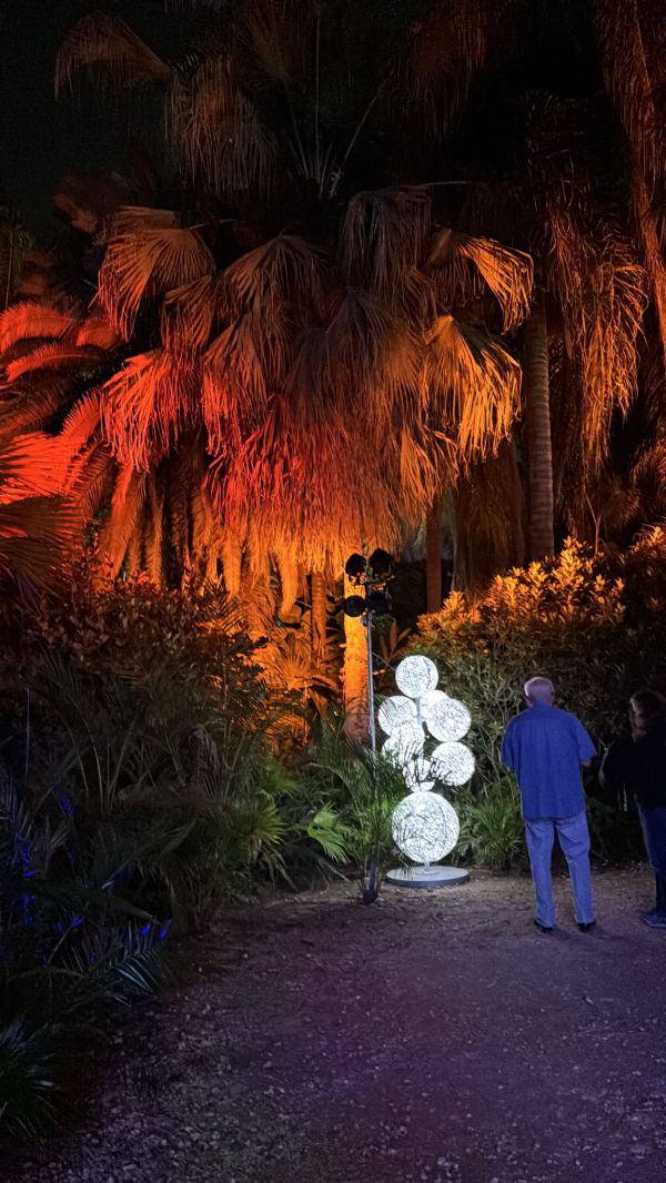 פסטיבל האור הבינלאומי