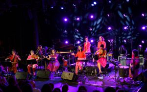 השבוע בתיירות ותרבות: מהפכת משקאות, מופעים גדולים ותערוכות