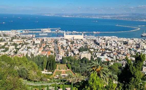 חיפה מלמעלה ועד הים: טיול קסום של נוף, בוטניקה והדר